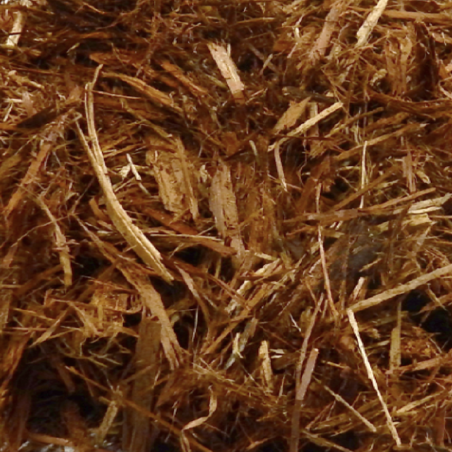 Mulch Fundraiser Jasper Cats Football Booster Club